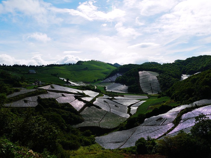 p1380982__.jpg