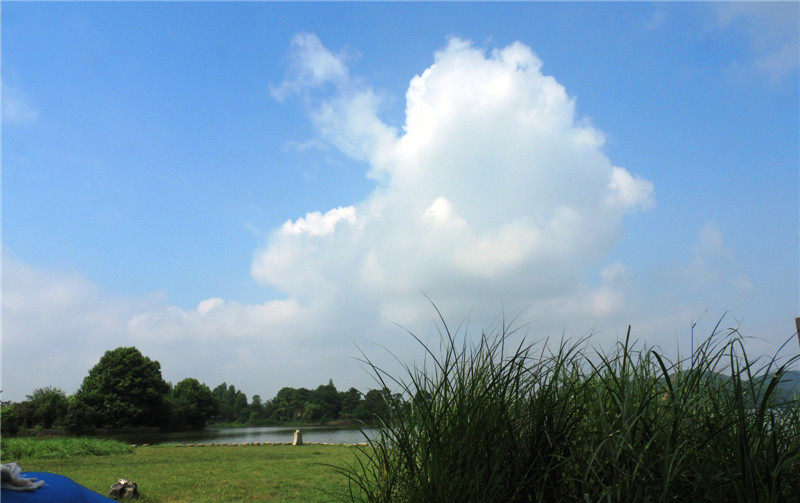 dscn5238.jpg