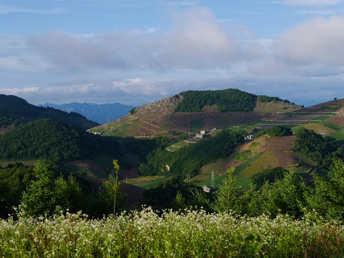 p1380892__.jpg
