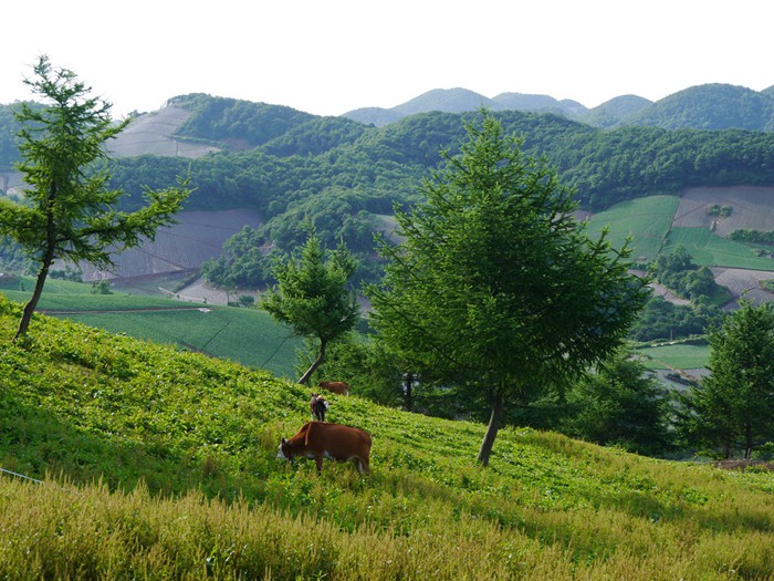p1380964__.jpg