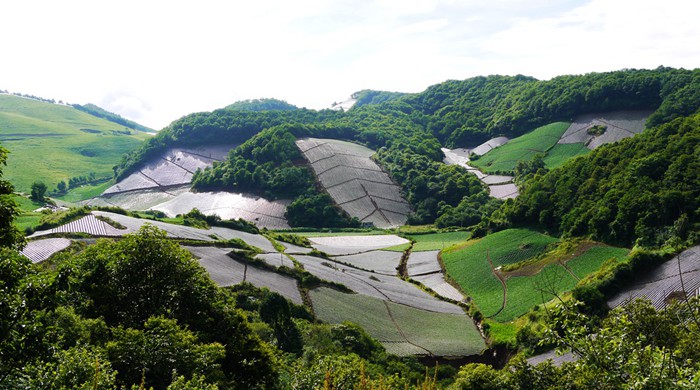 p1380979_副本_副本.jpg