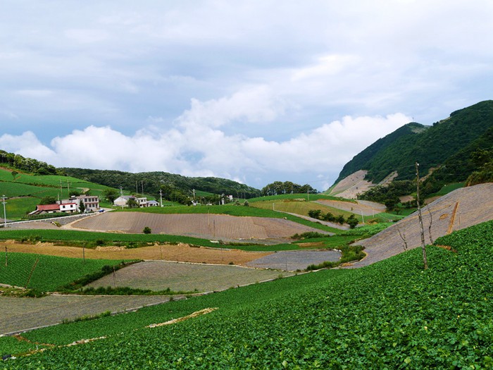 p1380996_副本_副本.jpg