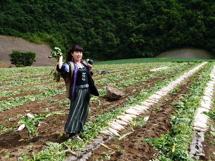 p1380998_副本_副本.jpg
