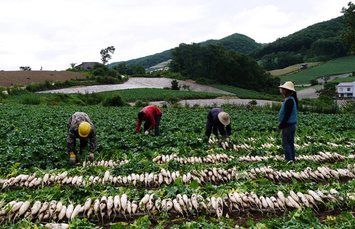 p1390004_副本_副本.jpg