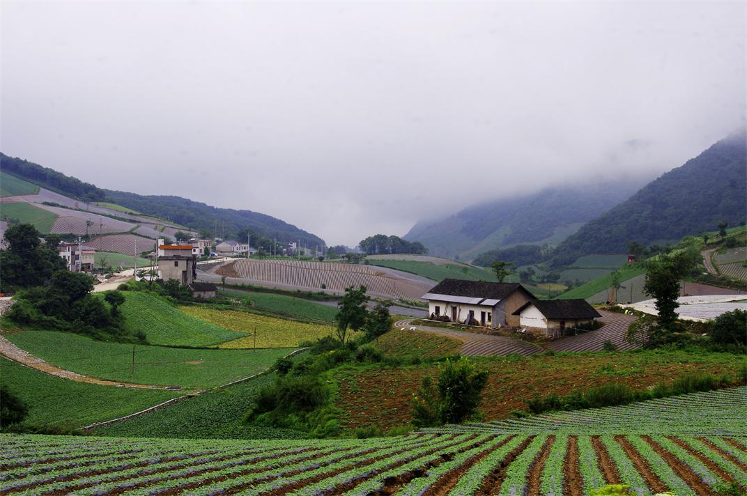 _igp7294.jpg