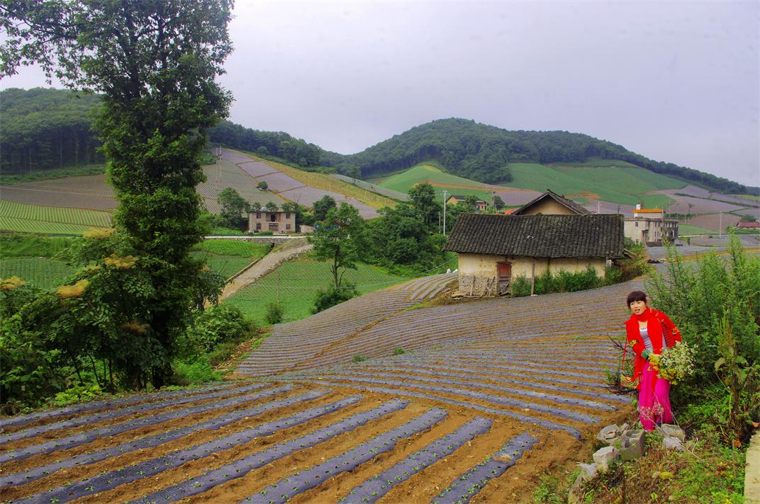 _igp7312.jpg
