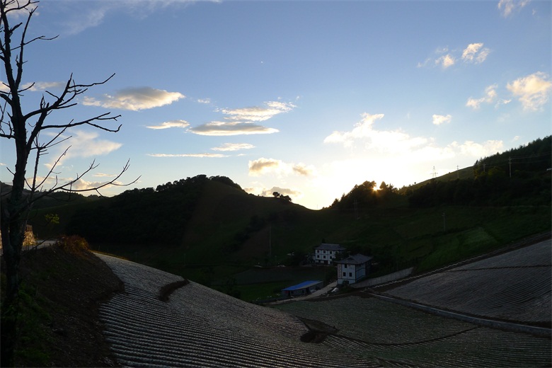 p1180829.jpg
