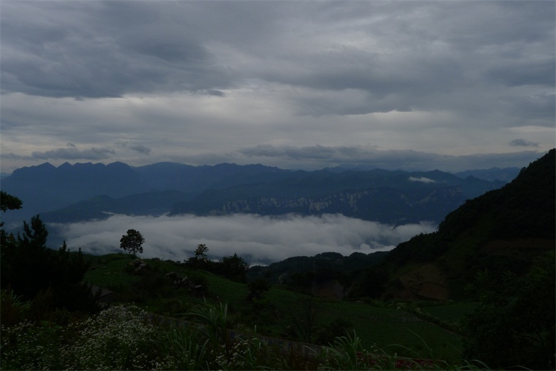 p1180891.jpg
