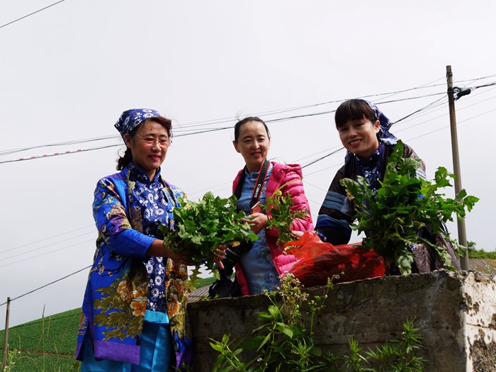 p1390224__.jpg