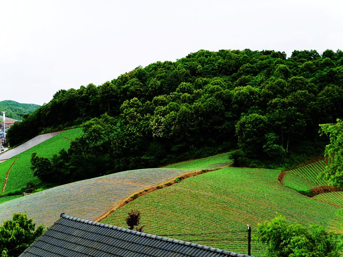 p1390188__.jpg