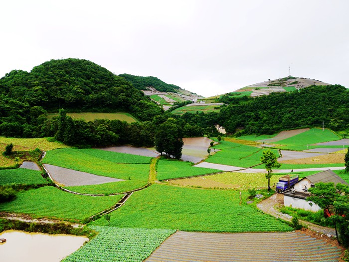 p1390202__.jpg