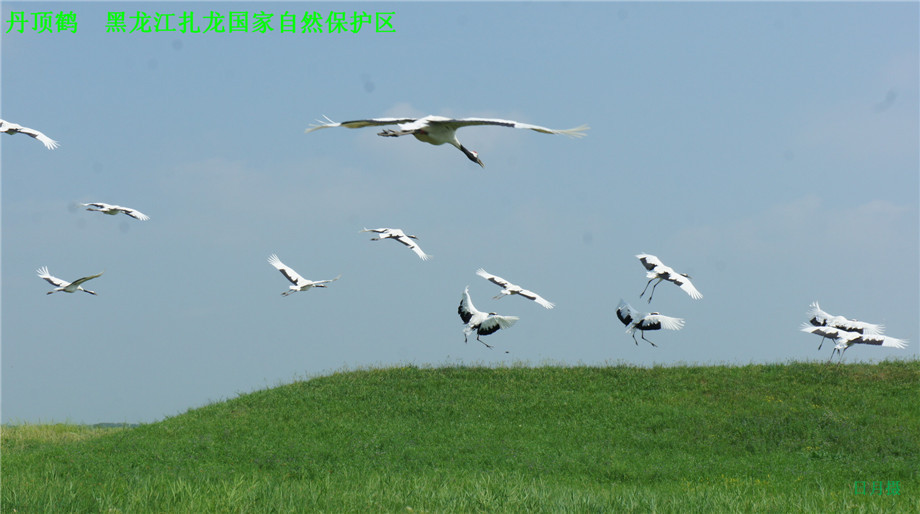 dsc01615_副本.jpg