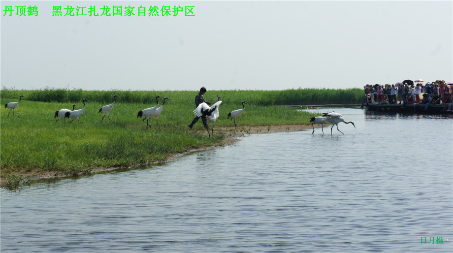 dsc01617_副本.jpg