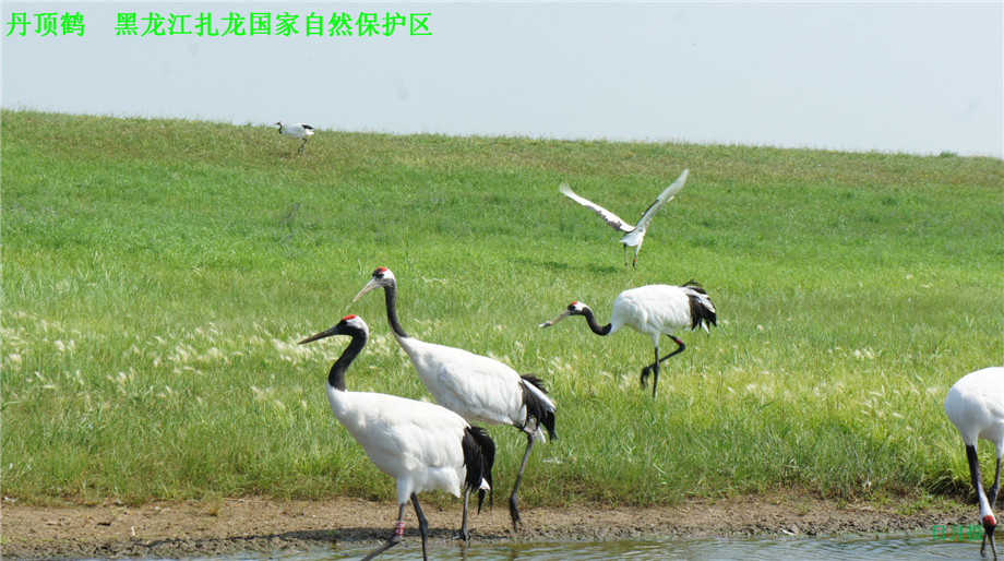 dsc01623_副本.jpg