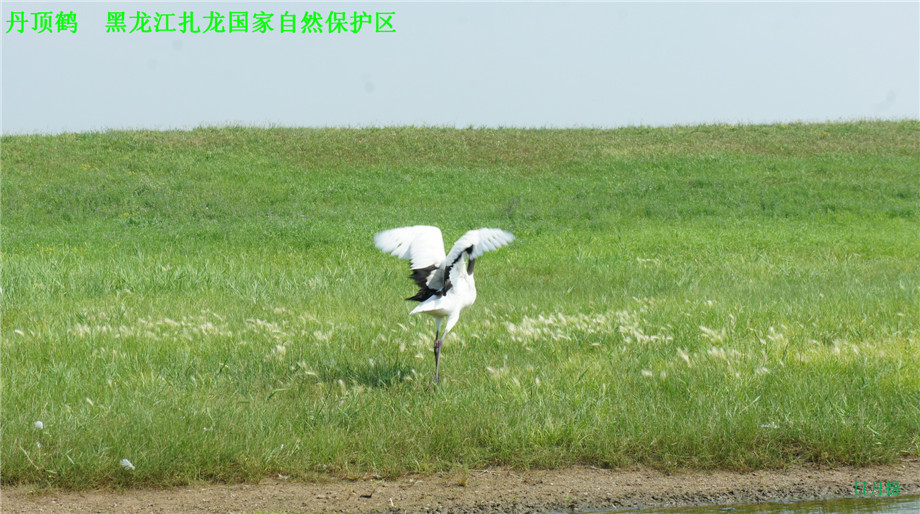 dsc01629_副本.jpg