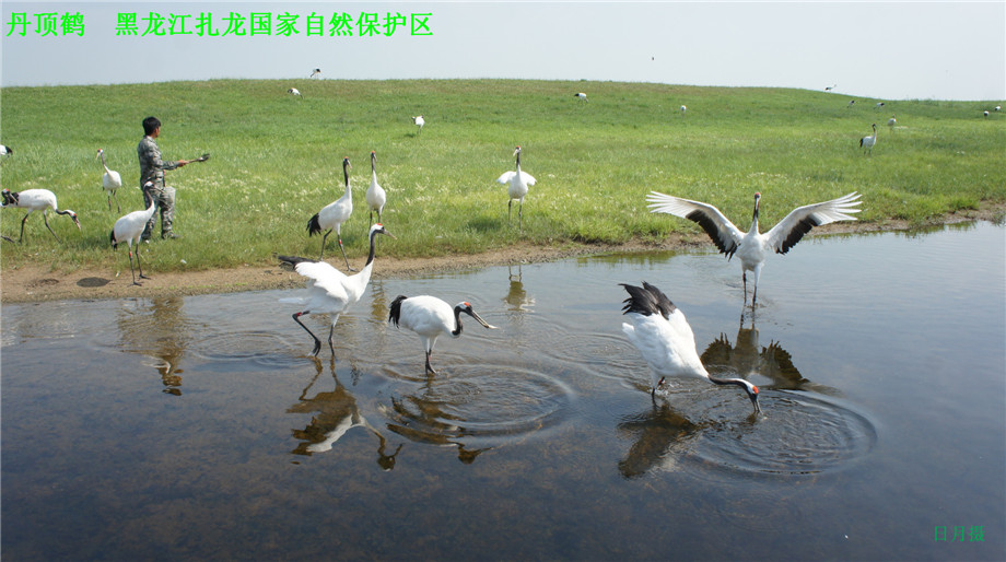 dsc01634_副本.jpg