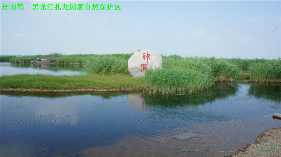 dsc01668_副本.jpg