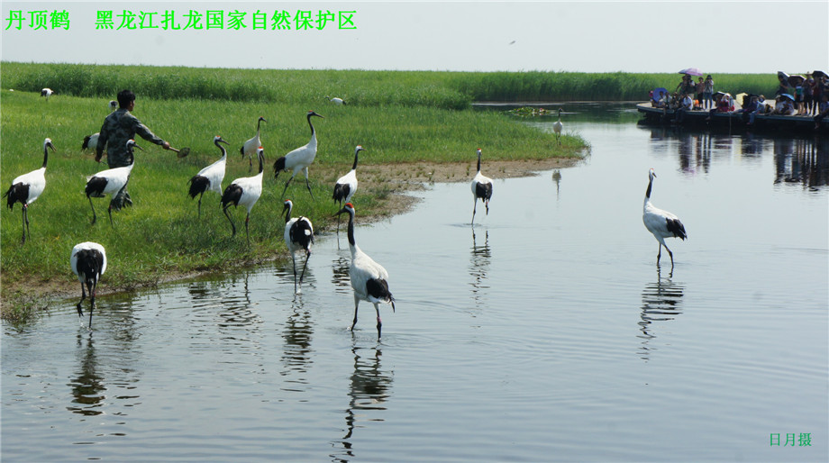 dsc01638_副本.jpg