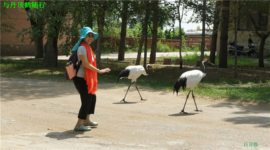 dsc01735_副本.jpg