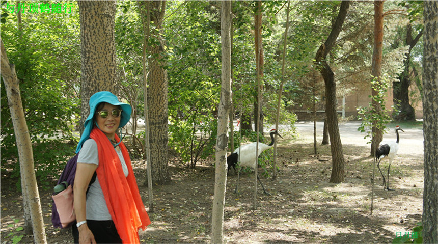 dsc01730_副本_副本.jpg