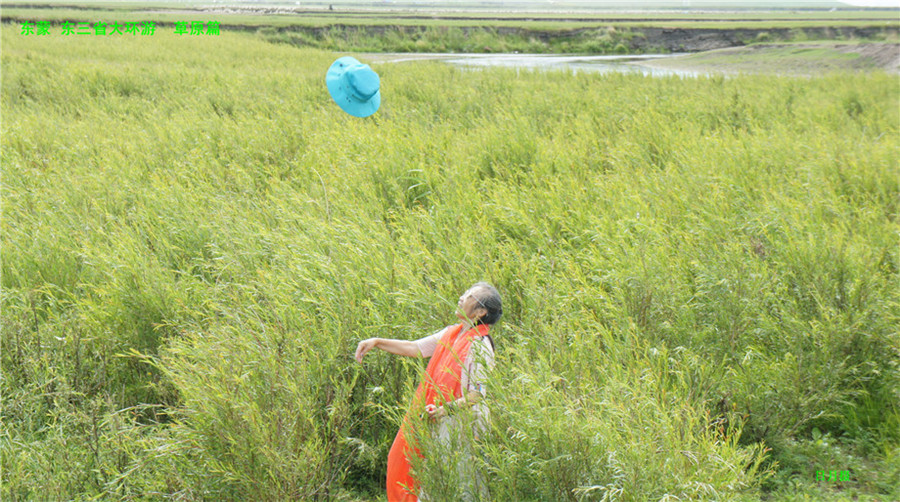 dsc01411__.jpg