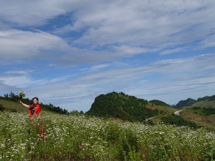 p1390373__.jpg