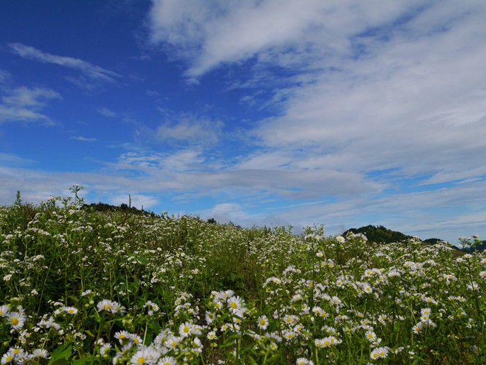 p1390376__.jpg