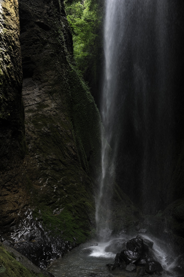 _dsc9453.jpg