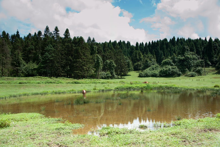 _dsc9553.jpg