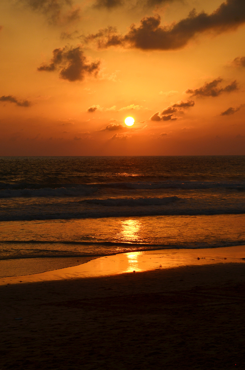 dsc_3579.jpg
