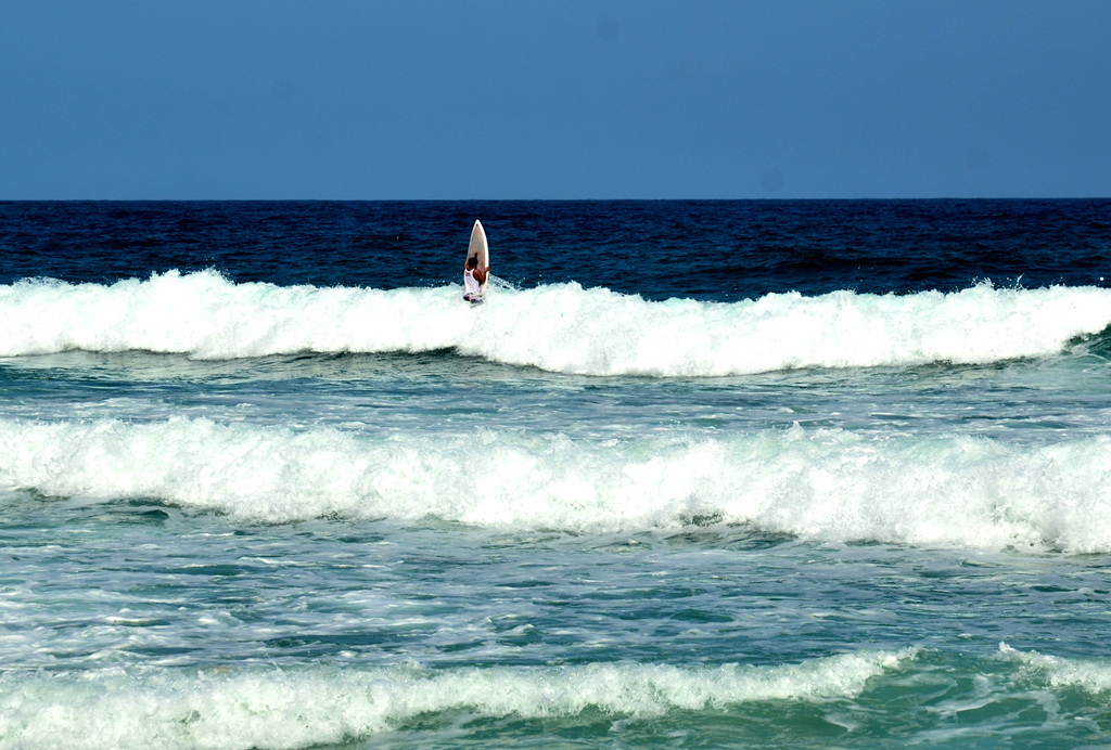 dsc_4652.jpg