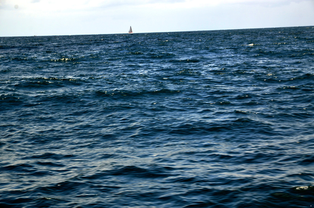 dsc_1628.jpg