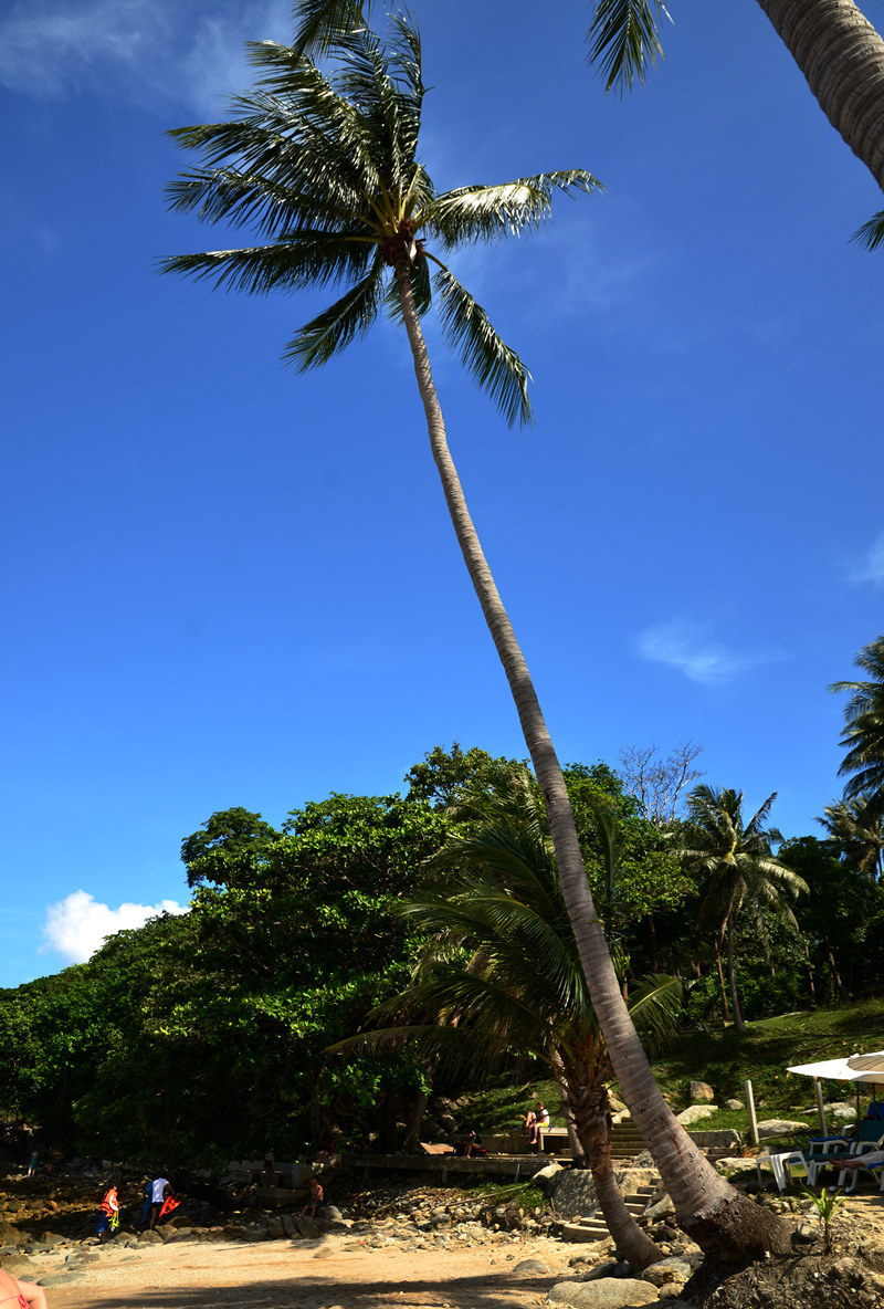 dsc_1864.jpg