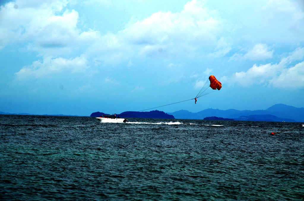 dsc_0310.jpg