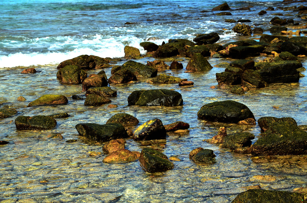dsc_2049.jpg