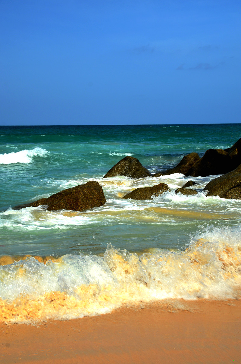 dsc_4540.jpg