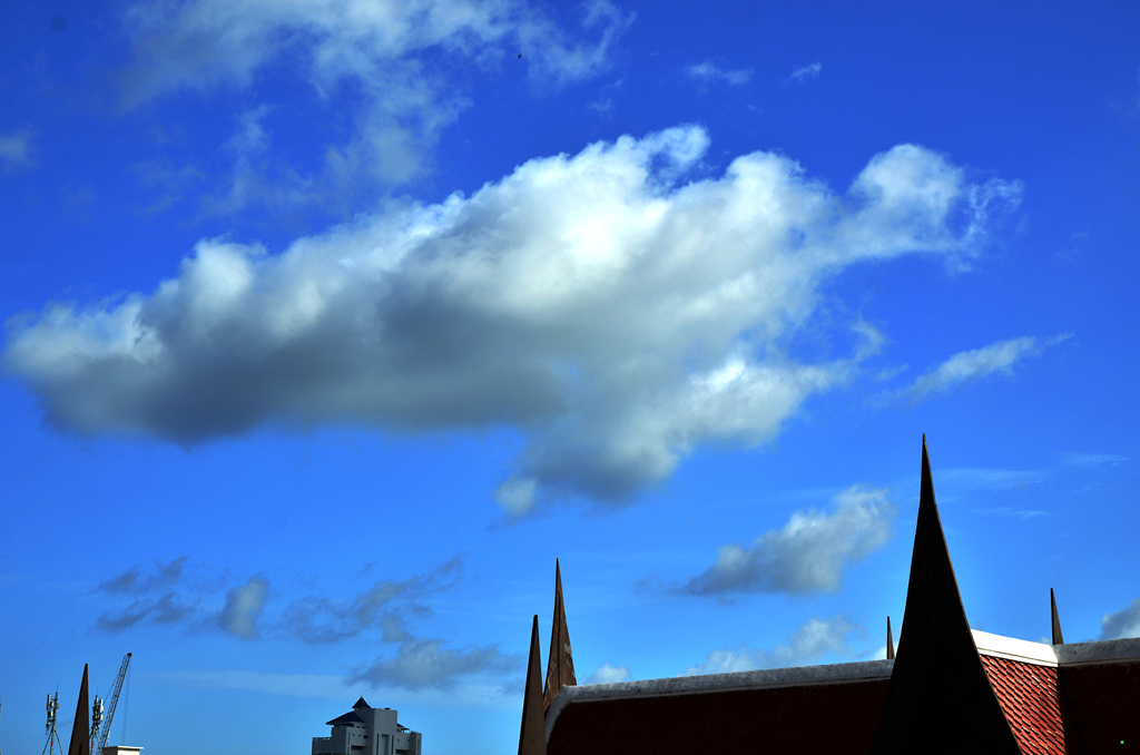 dsc_2568.jpg