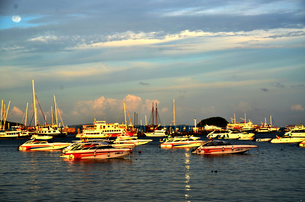 dsc_2548.jpg