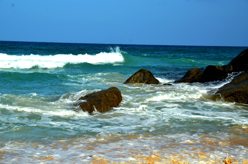 dsc_4543.jpg