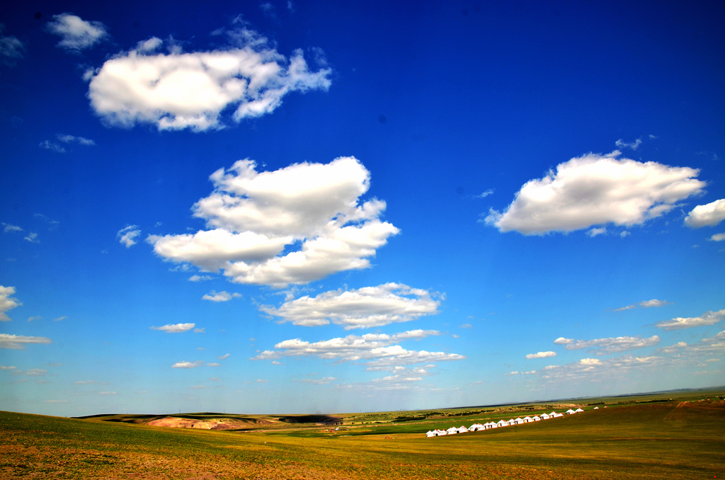 dsc_7310.jpg