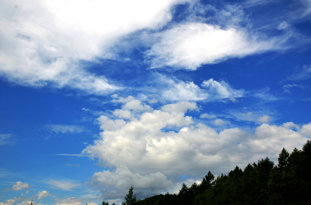 dsc_6787.jpg