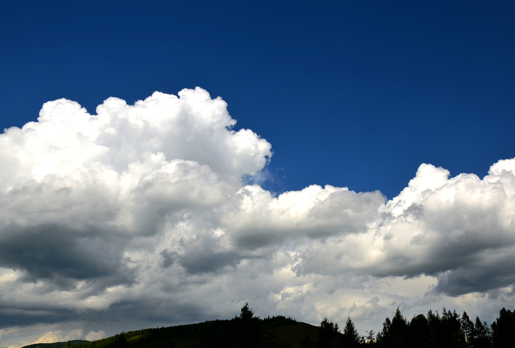 dsc_6901.jpg
