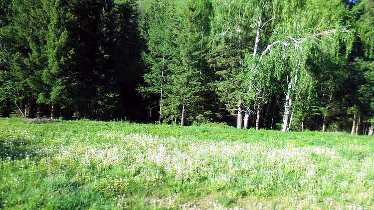 ˹010.jpg