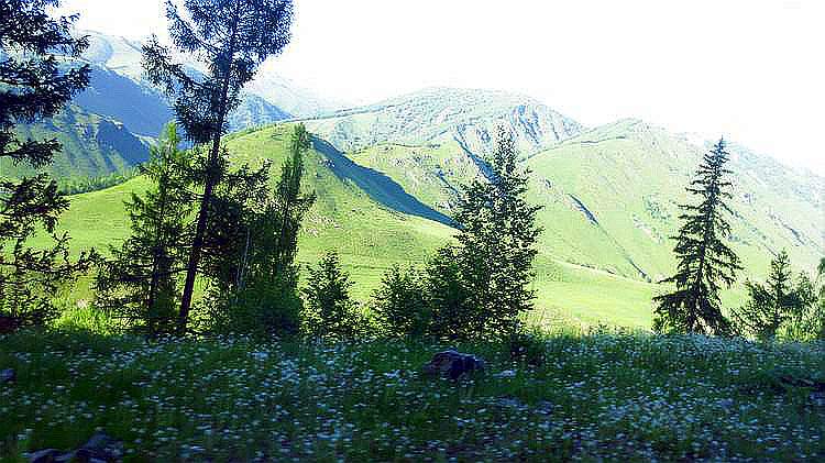 ˹016.jpg