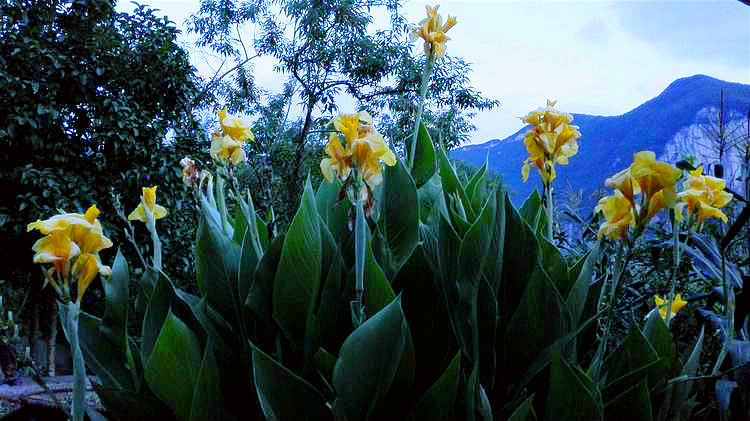 ڴϿȾסʱũׯ010.jpg