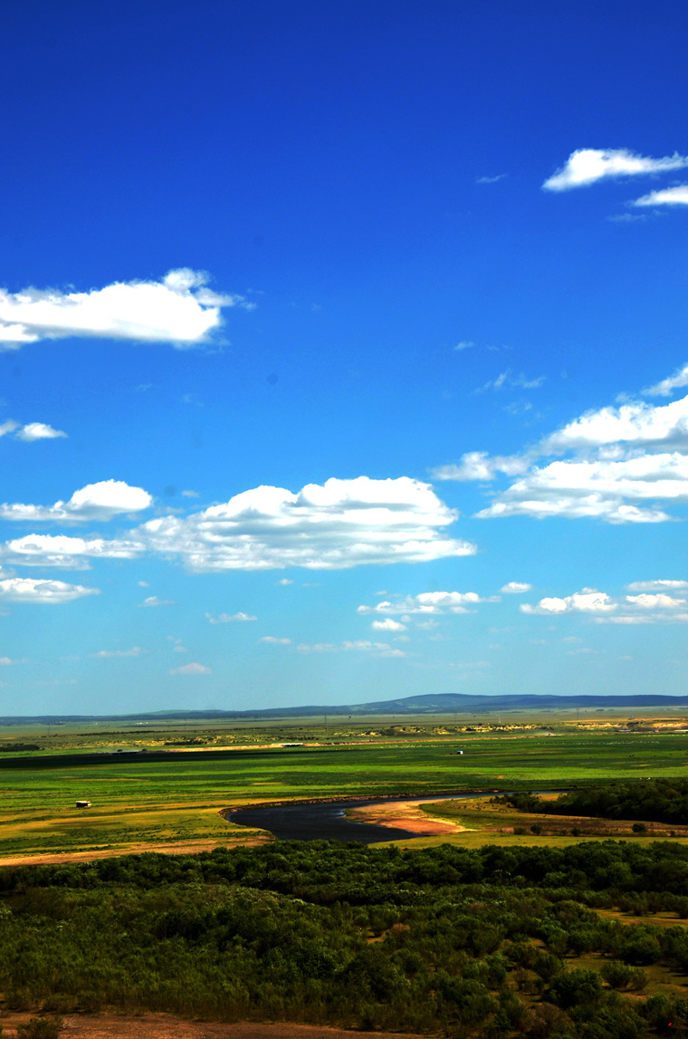 dsc_7290.jpg