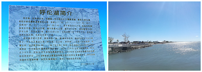 p7141759__.jpg