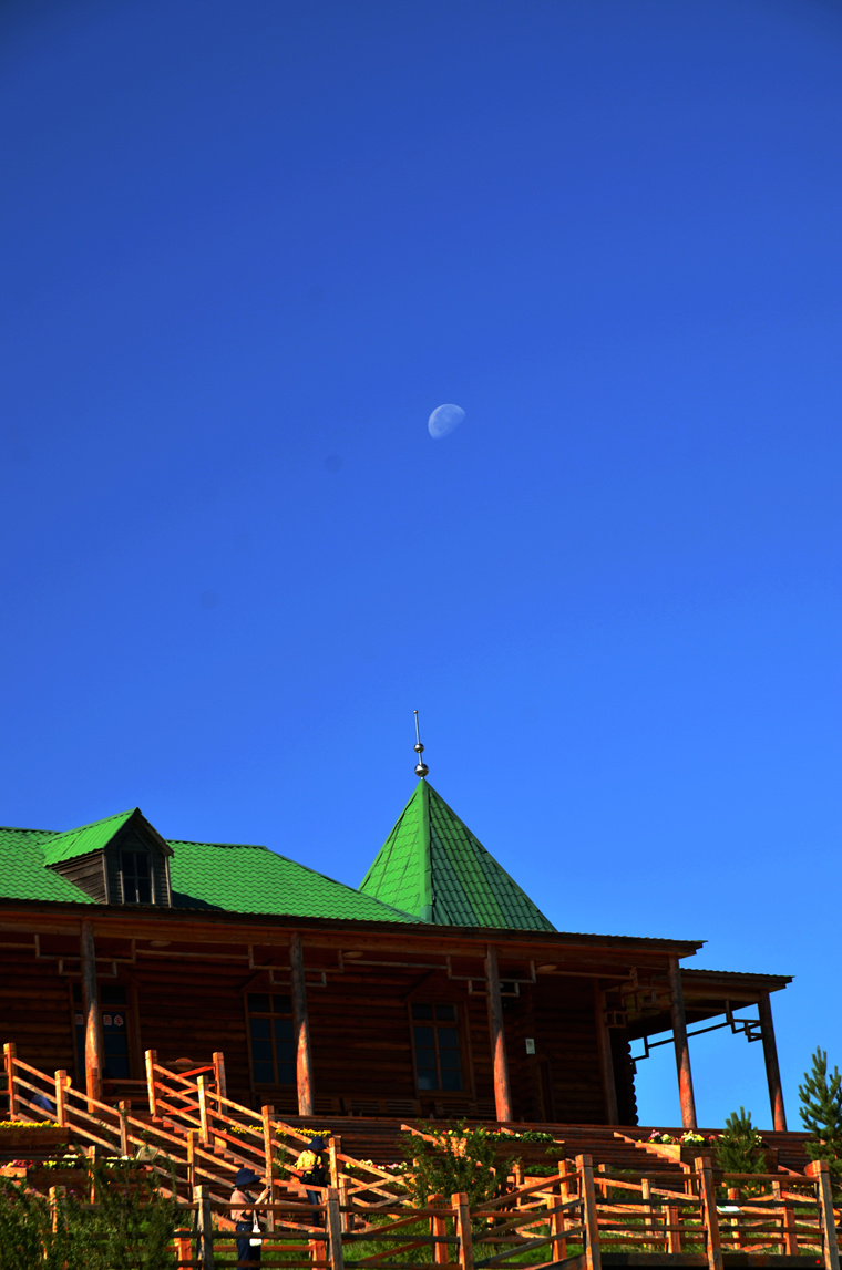 dsc_8145.jpg