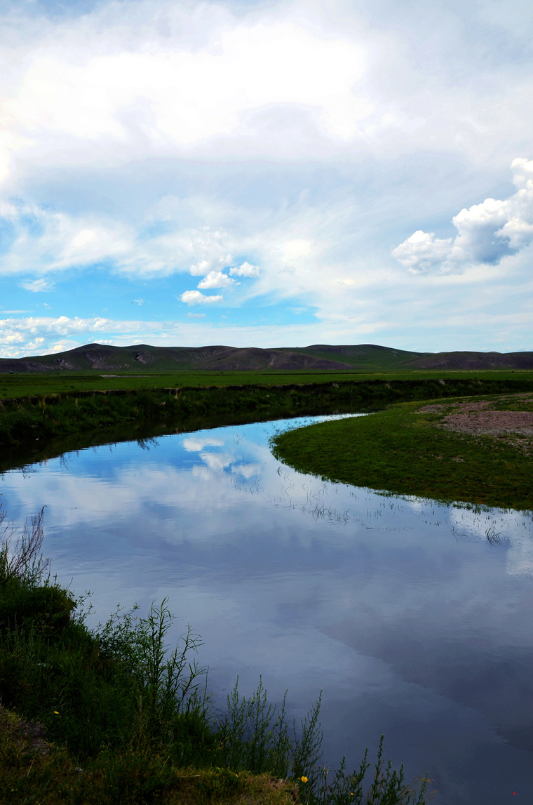 dsc_8346.jpg