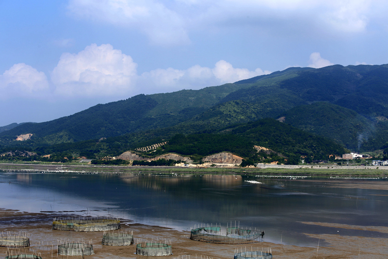 _mg_0937__.jpg